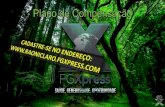 Fgxpress   apresenta§£o fcil de entender - copia (13) - copia