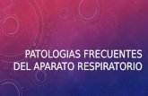 Patologias frecuentes del aparato respiratorio