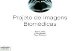 Projeto de Imagens Biomédicas