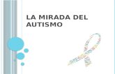 La mirada del autismo (2)