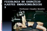 Fisiologia do exercício hormonios 3 - Hormônios Sexuais - Professor Claudio Novelli