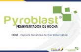 Apresentação Pyroblast PPT- ELBLX