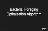Bacterial Foraging Optimization Algorithm
