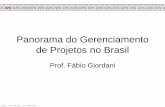 Panorama gp brasil 2010