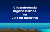 8971 circunferencia trigonometrica