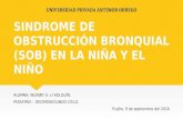 Sindrome de obstrucción bronquial (sob)