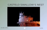 Castelo swallow's nest