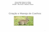ICSC48 - Criação e manejo de coelhos