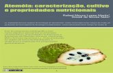 Atemóia: caracterização, cultivo e propriedades nutricionais