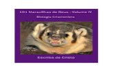 101 MARAVILHAS DE DEUS - VOLUME IV