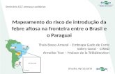 Mapeamento do risco de introdução da febre aftosa na fronteira do brasil com o paraguai