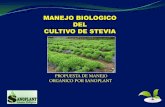 MANEJO BIOLÓGICO DEL CULTIVO DE STEVIA