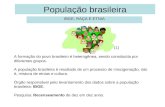 População brasileira   ibge, raça e etnia
