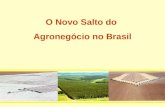 Agronegócio no brasil