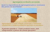 Agronegócio no brasil e no mundo