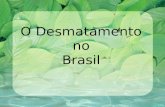 O desmatamento no brasil