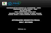 Ações PIBID ARTES VISUAIS 2 semestre 2016 E.E.B Irmã Edviges