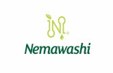 Plano de negócio MMN - Nemawashi 2016