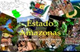 Estado amazonas