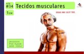 1EM #34 Tecido muscular