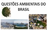 Questões ambientais do brasil