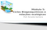 Aula Biologia: Ciclos Biogeoquímicos e Relações ecológicas [1° Ano do Ensino Médio]