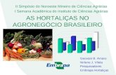 Participação  das hortaliças agronegócio unaí 07 10 2016