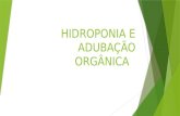 Adubaçao organica e Hidroponia