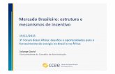 Mercado Brasileiro: estrutura e mecanismos de incentivo