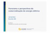 Panorama e perspectivas da comercialização de energia elétrica - Reunião UBS