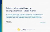 Mercado Livre de Energia Elétrica - Visão Geral - 2ª Reunião conjunta do COEMA Nacional e CAL da CNI