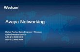 Apresentação Conceitos de Dados Avaya - Julho 2012