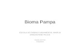 Bioma pampa
