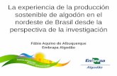 La experiencia de la producción sostenible de algodón en el nordeste de Brasil desde la perspectiva de la investigación - Presentación Fábio Aquino de Albuquerque, Embrapa Algodão,