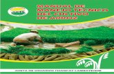 Manual de manejo técnico del cultivo de arroz   juchl
