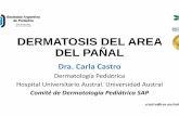 Dermatosis del área del pañal