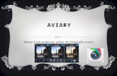 Aviary - Editor de fotos