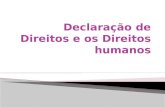 Declaração de direitos e os direitos humanos