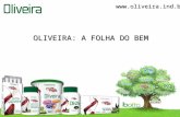 OLIVEIRA: A FOLHA DO BEM