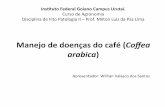 Manejo de Doencas do cafeeiro - Wilhan Valasco dos Santos - Prof. Milton L. Paz Lima