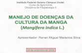 Manejo de doenças da manga - Renan Miguem Medeiros Silva - Prof. Milton L. Paz Lima