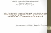 Manejo de Doencas do Algodão - Mirian Carvalho Tavares - Prof. Milton L. Paz Lima