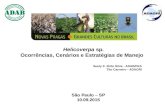 Helicoverpa sp. - Ocorrências, Cenários e Estratégias de Manejo