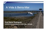 A Vida à Beira-Mar [Modo de Compatibilidade]