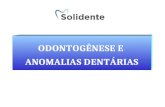 Patologia odontogenese