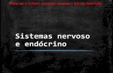 Sistemas nervoso e endócrino - Psicologia 12º
