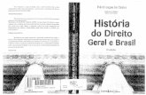 História dp direito geral e brasil   6ª edição- flavia lages de castro