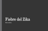 Fiebre del zika