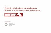 Perfil de trabalhadores e trabalhadoras do Setor Energético do estado de São Paulo