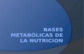 Bases metabólicas de la nutricion modifi